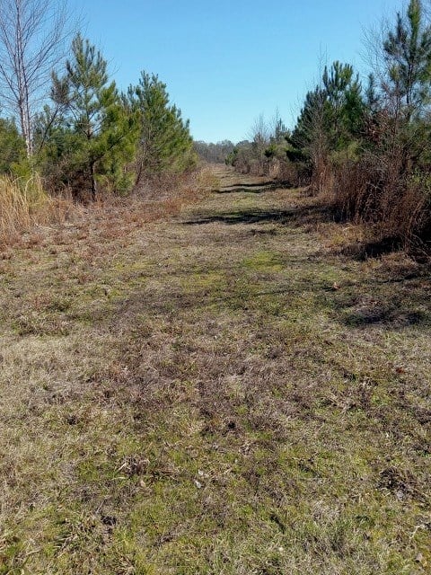 206 Acres on the Homochitto River Franklin County Mississippi