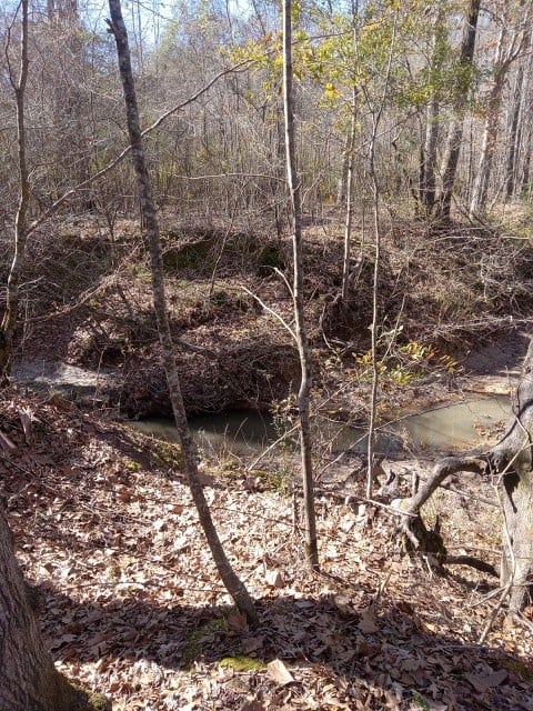 206 Acres on the Homochitto River Franklin County Mississippi