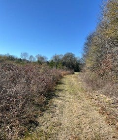 206 Acres on the Homochitto River Franklin County Mississippi