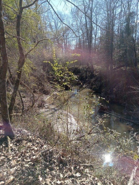 206 Acres on the Homochitto River Franklin County Mississippi