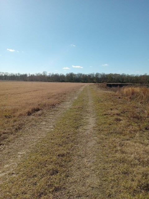 206 Acres on the Homochitto River Franklin County Mississippi