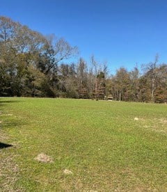 206 Acres on the Homochitto River Franklin County Mississippi