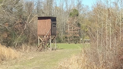 206 Acres on the Homochitto River Franklin County Mississippi