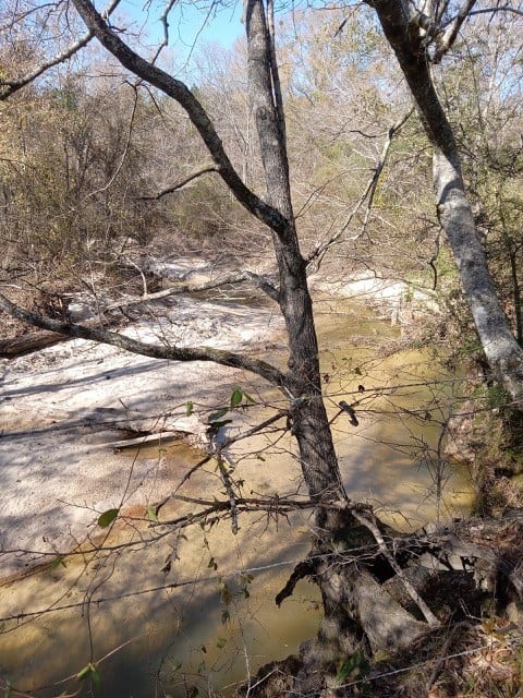 206 Acres on the Homochitto River Franklin County Mississippi