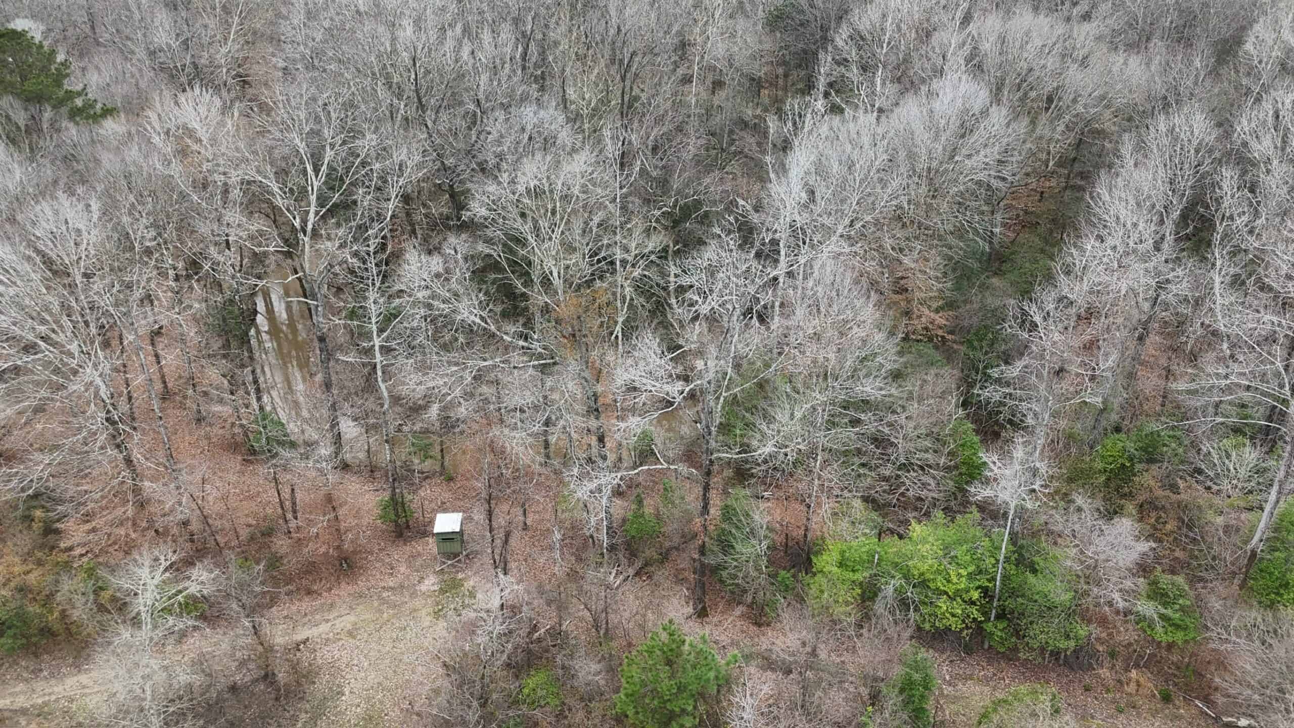 Hunting Property with a Camp and a Great Homesite