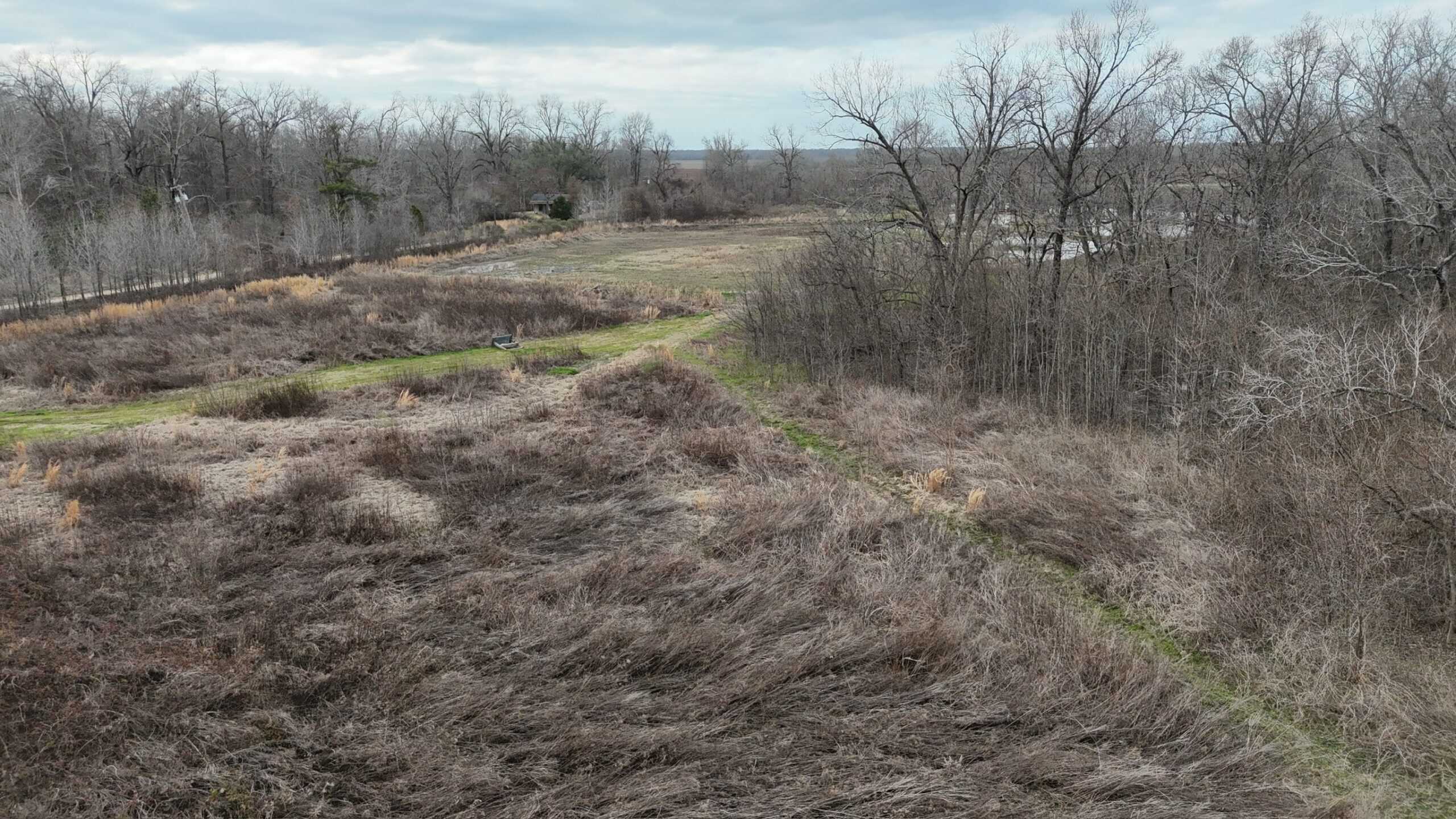 LA Delta Duck and Deer Hunting Property with a Camp
