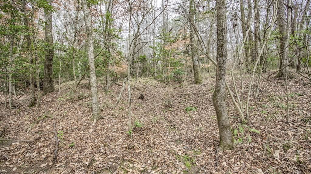 50 Acres TurnKey Hunting Camp SW Wilkinson County, MS