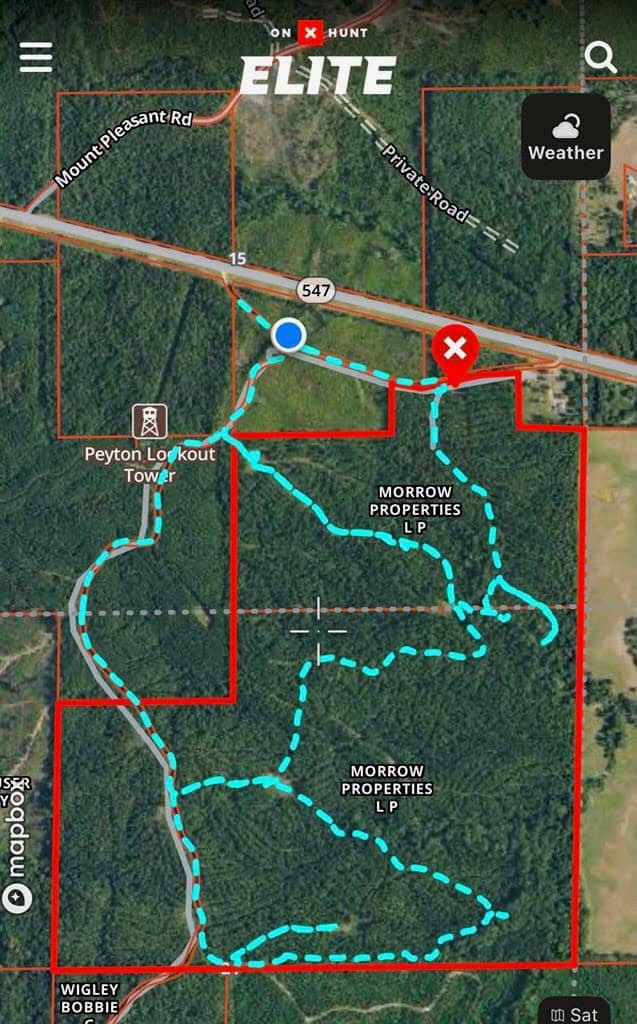 310 Acres Claiborne Hunting Property