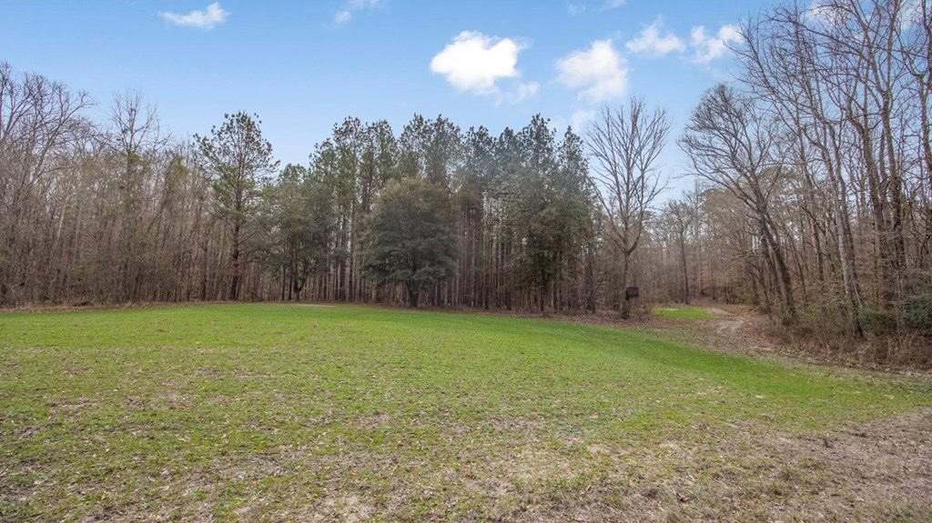 70 Acres Hunting Land Bordering Homochitto National Forest