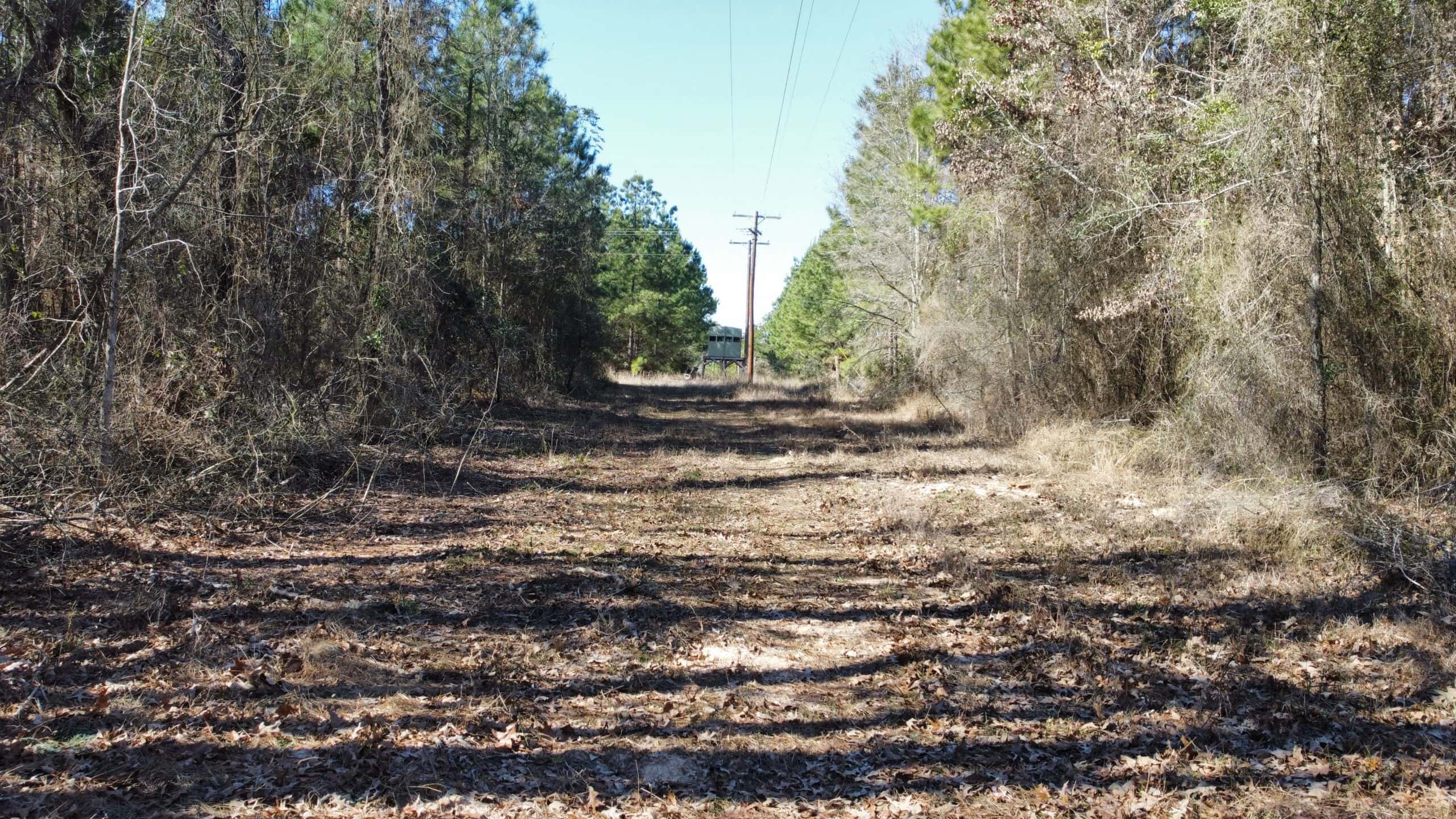 East TX Hunting Land Near Overton TX Rusk County