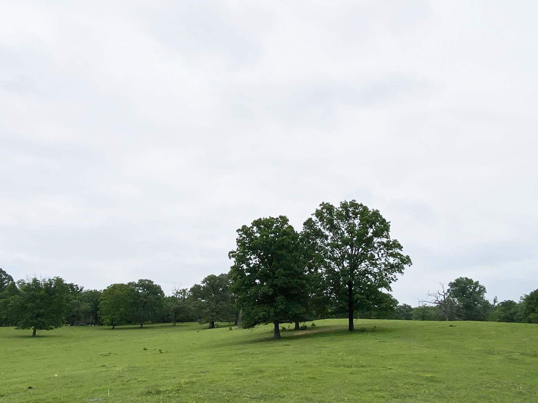 Lindale Texas Recreational Ranch Land for Sale East of Dallas