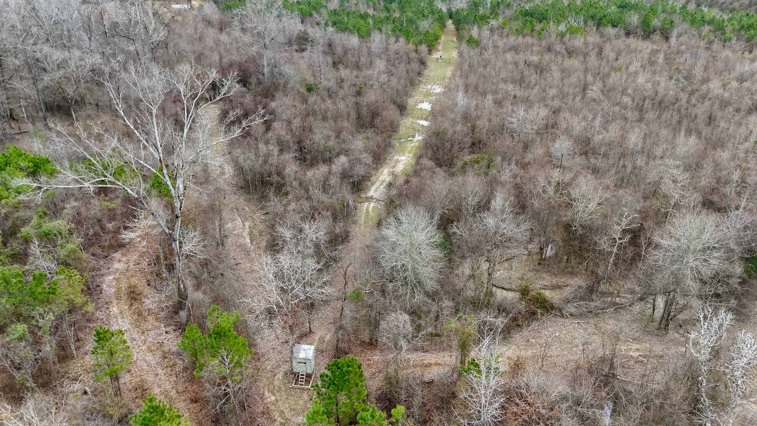 Hunting Property with a Camp and a Great Homesite