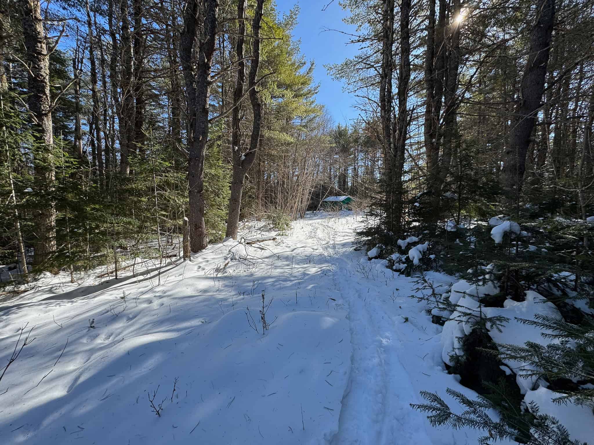 32 Acres with Off-Grid Cabin