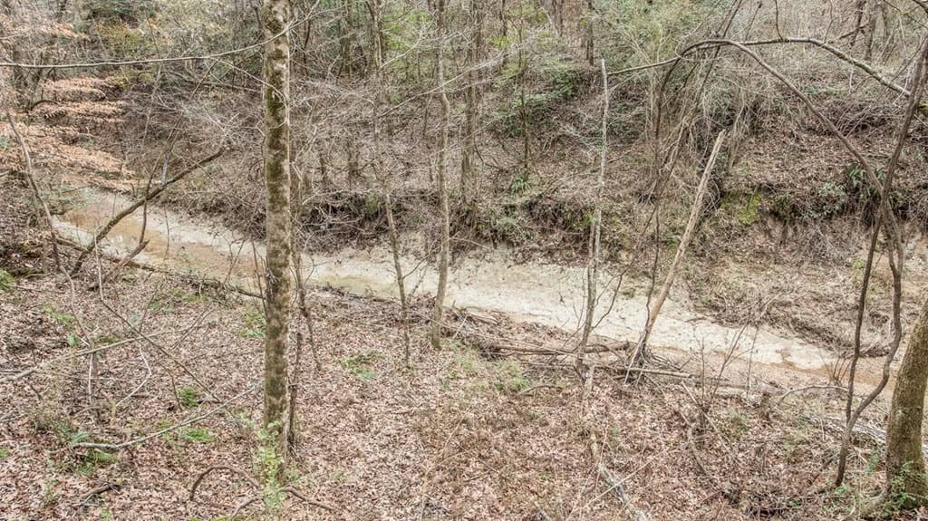 50 Acres TurnKey Hunting Camp SW Wilkinson County, MS