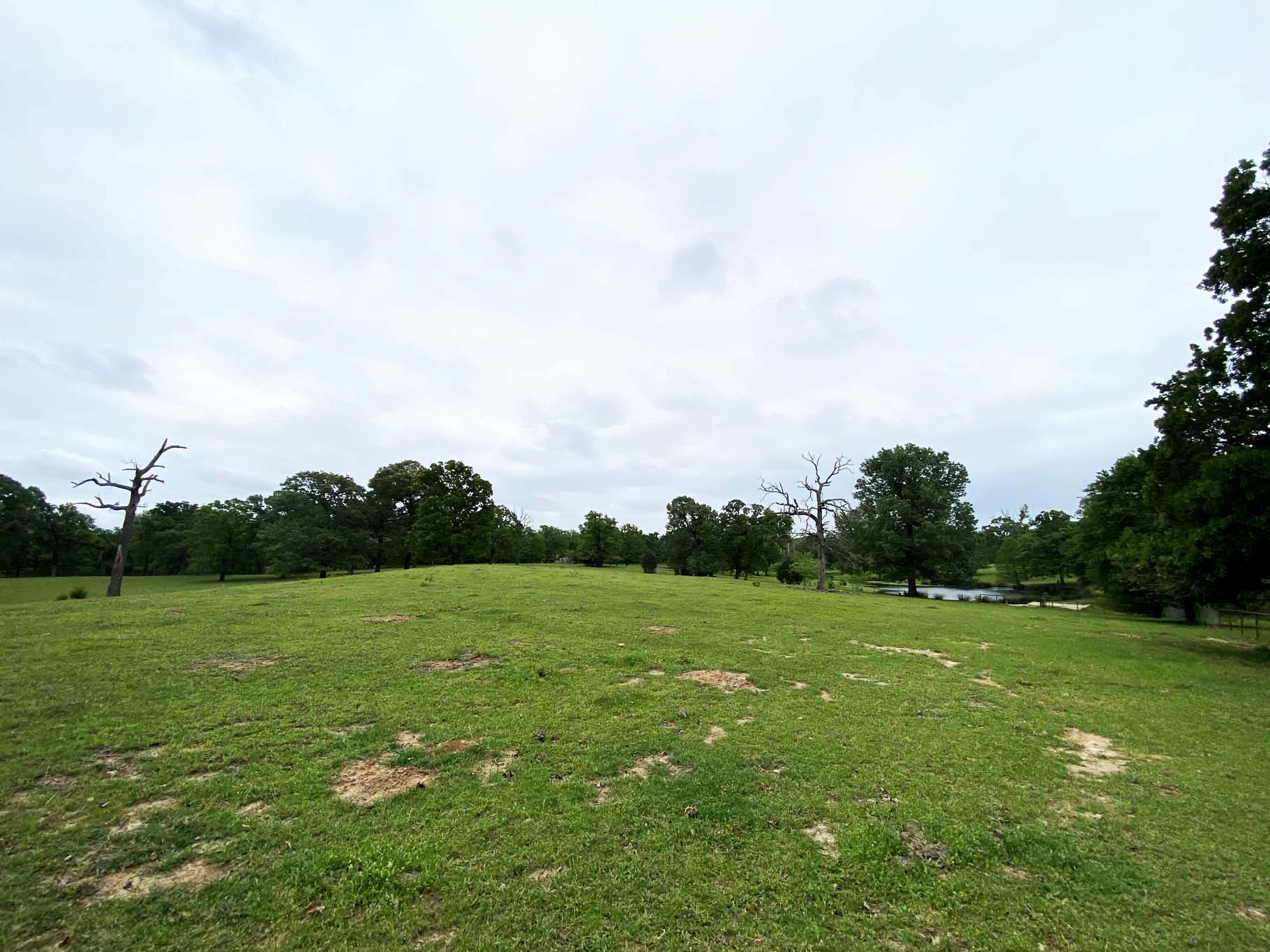 Lindale Texas Recreational Ranch Land for Sale East of Dallas