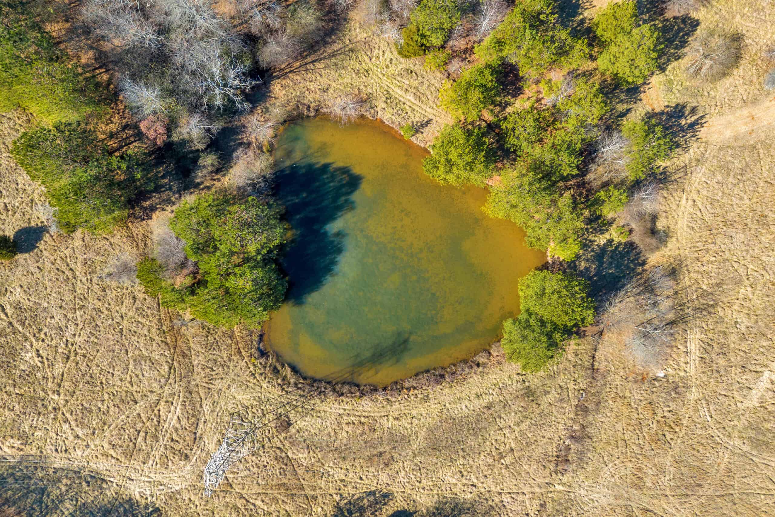 49+/- Acres of Beautiful Pasture with Two Ponds, Barn, and Creek Frontage.