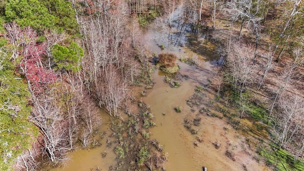 High Fence Hunting, 3 Lodges, 6 Cabins, Acadia Parish, LA