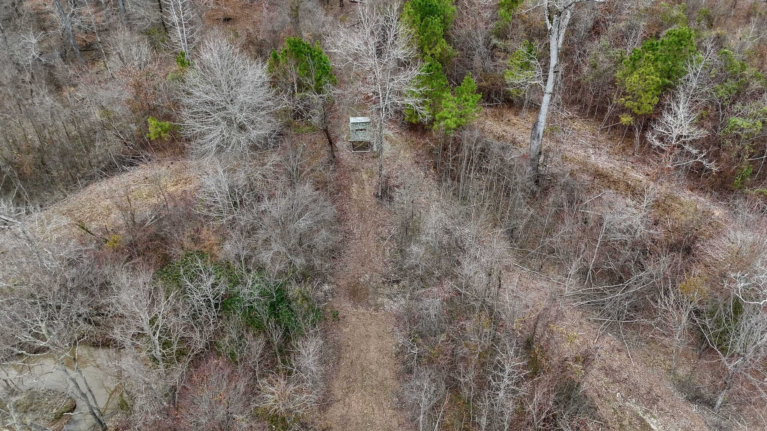Hunting Property with a Camp and a Great Homesite