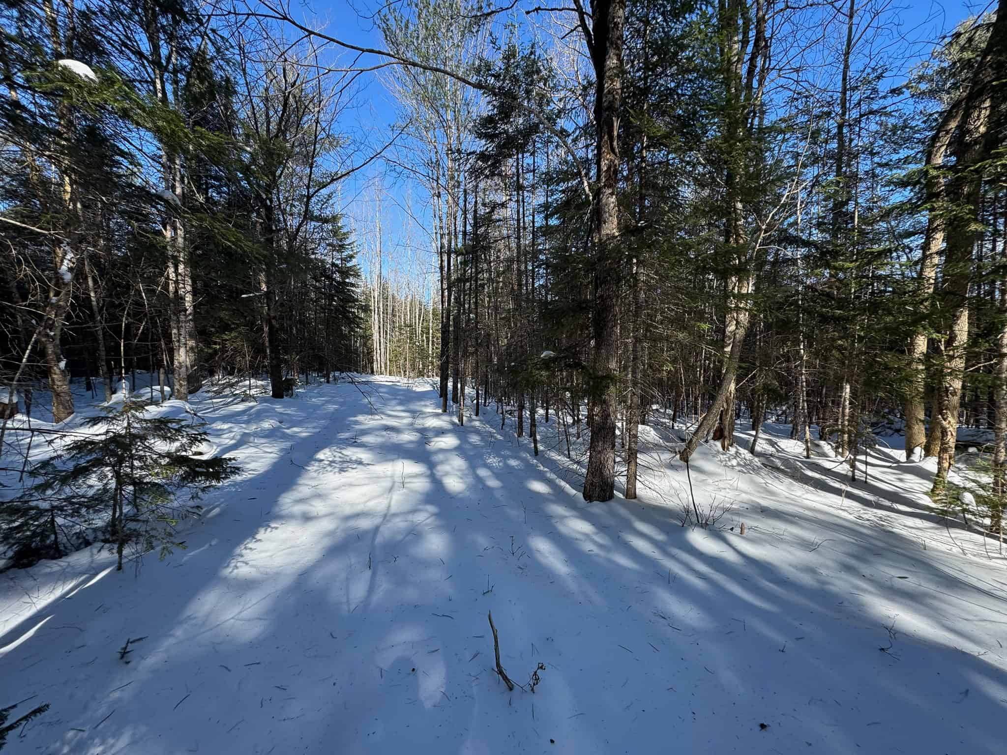 32 Acres with Off-Grid Cabin