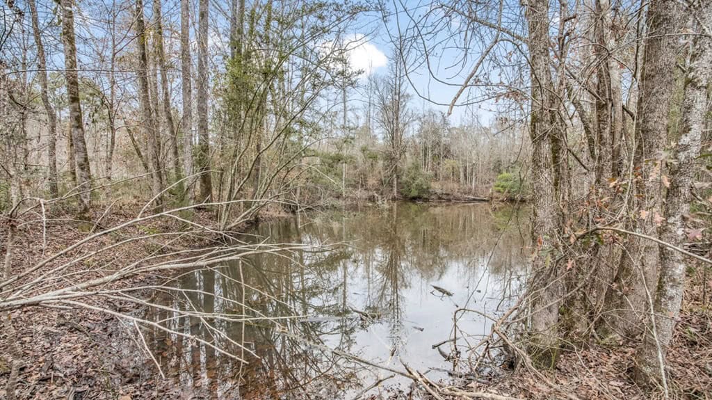 50 Acres TurnKey Hunting Camp SW Wilkinson County, MS