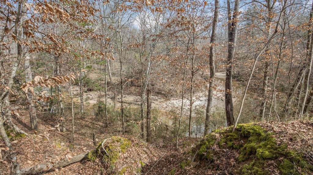 70 Acres Hunting Land Bordering Homochitto National Forest
