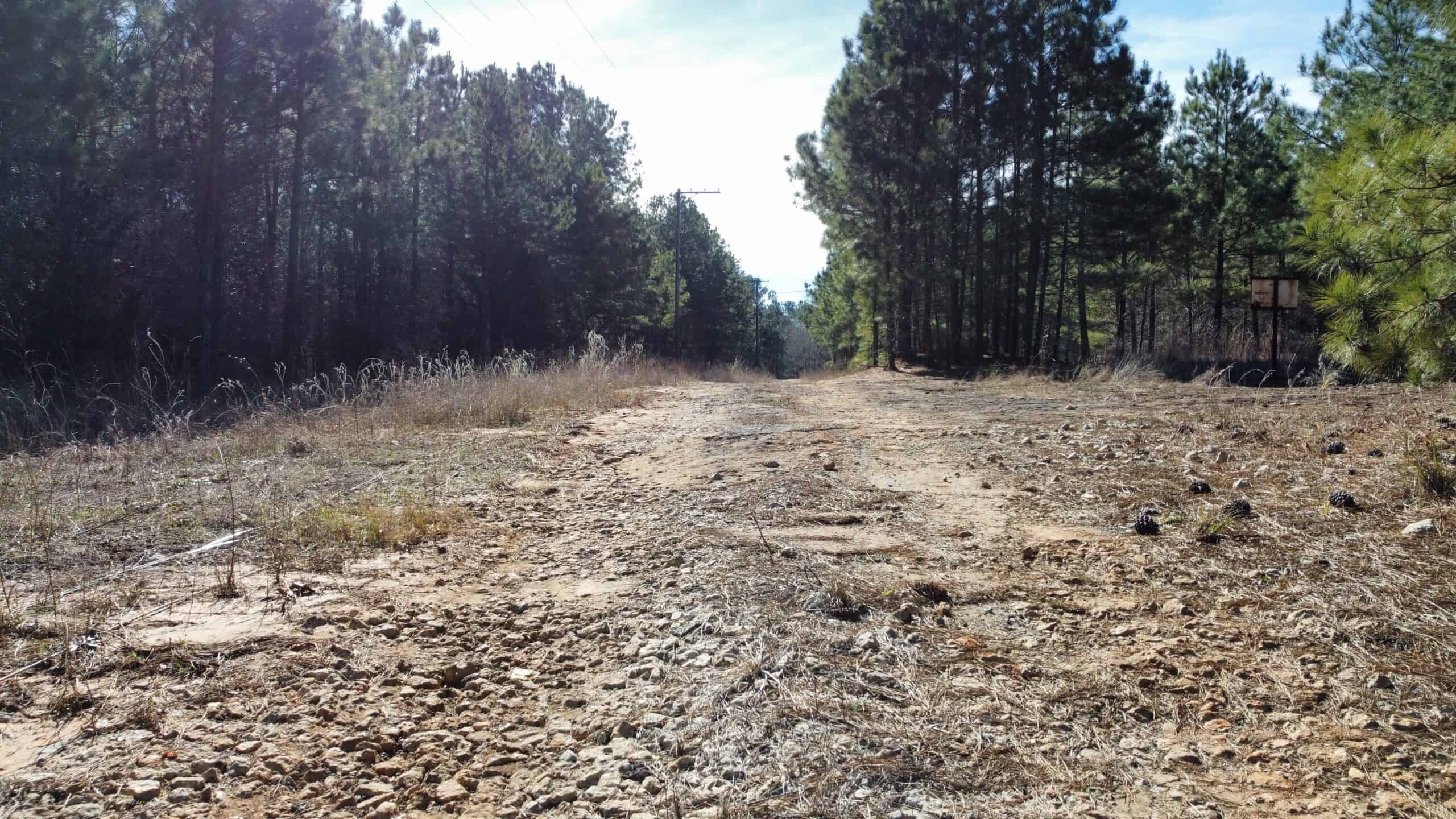 East TX Hunting Land Near Overton TX Rusk County