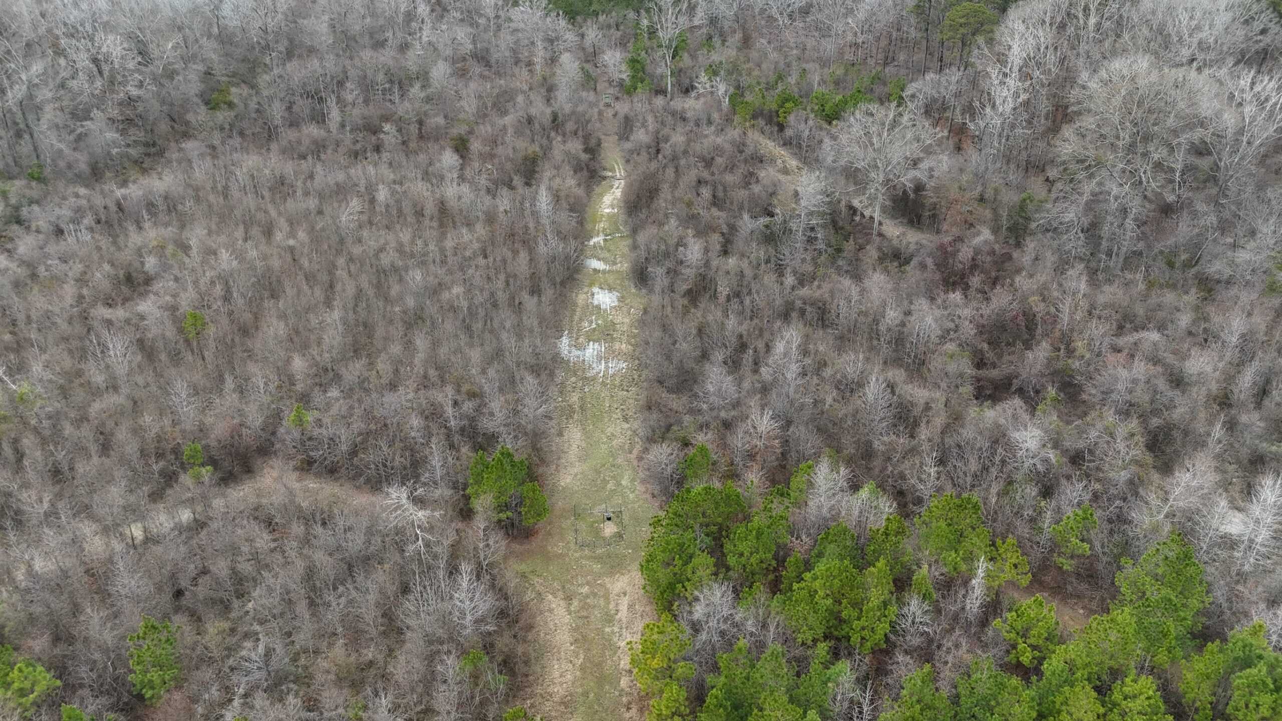 Hunting Property with a Camp and a Great Homesite