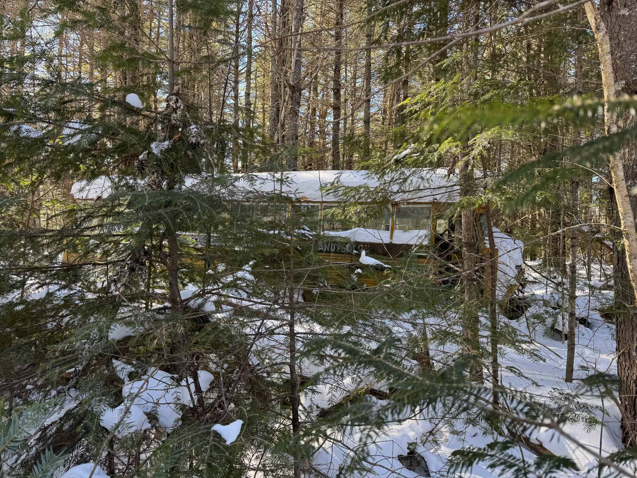 32 Acres with Off-Grid Cabin