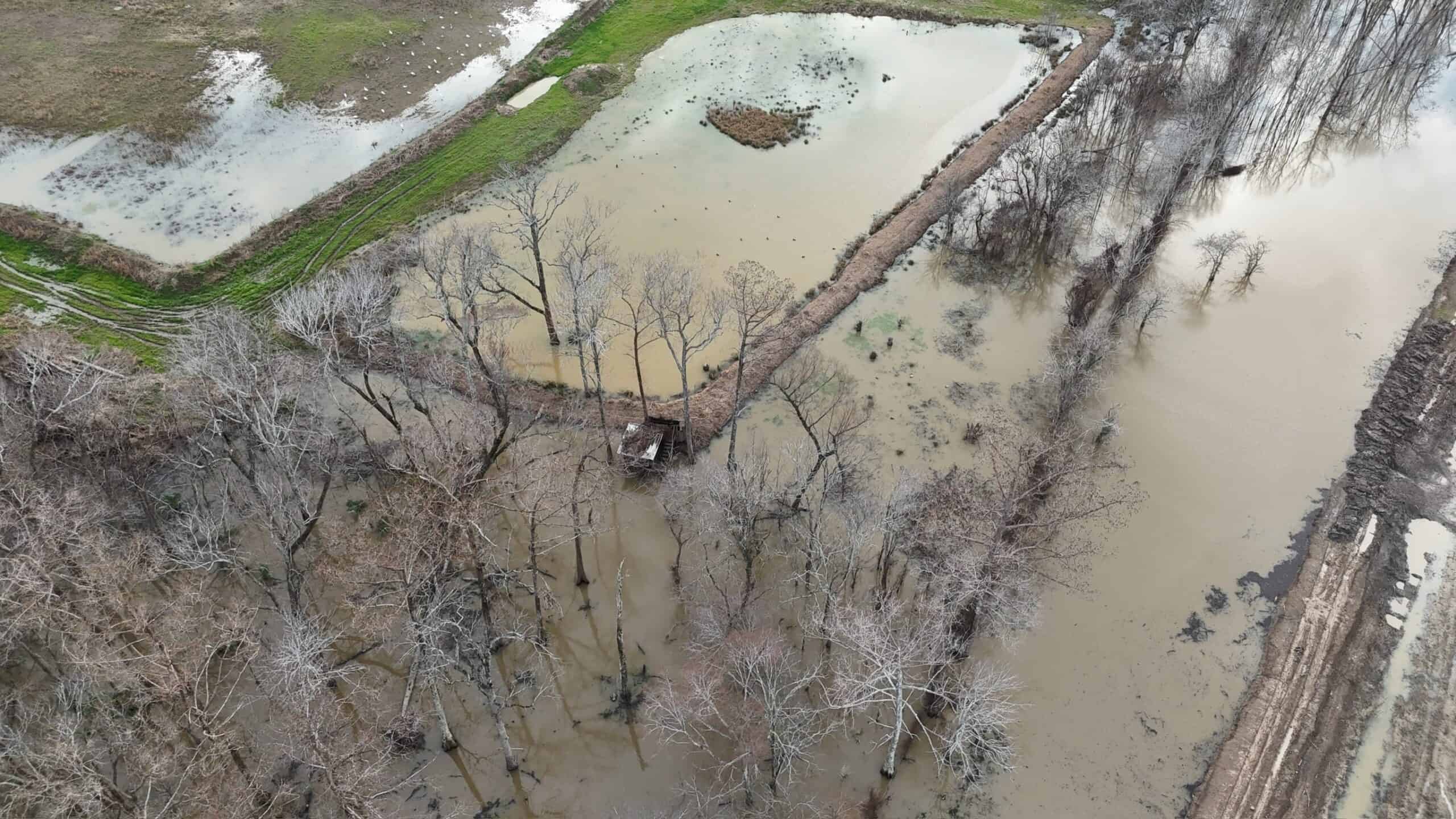 LA Delta Duck and Deer Hunting Property with a Camp