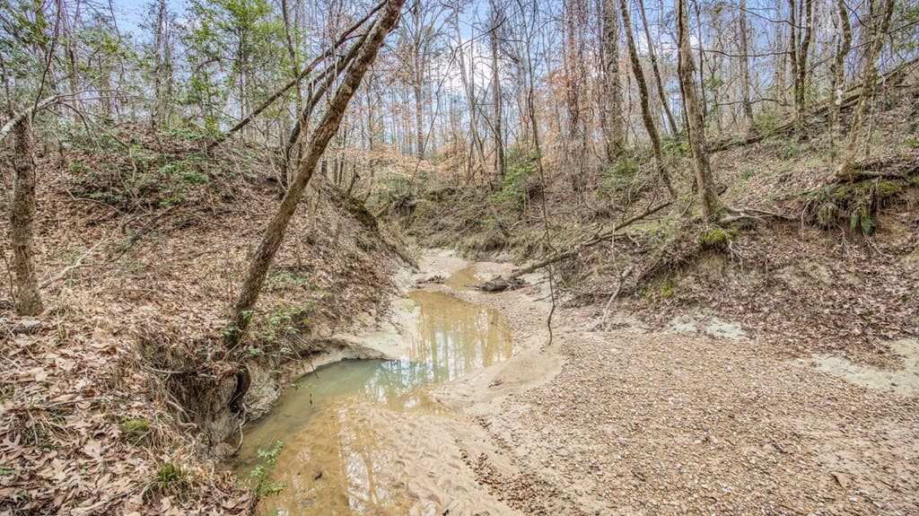 50 Acres TurnKey Hunting Camp SW Wilkinson County, MS