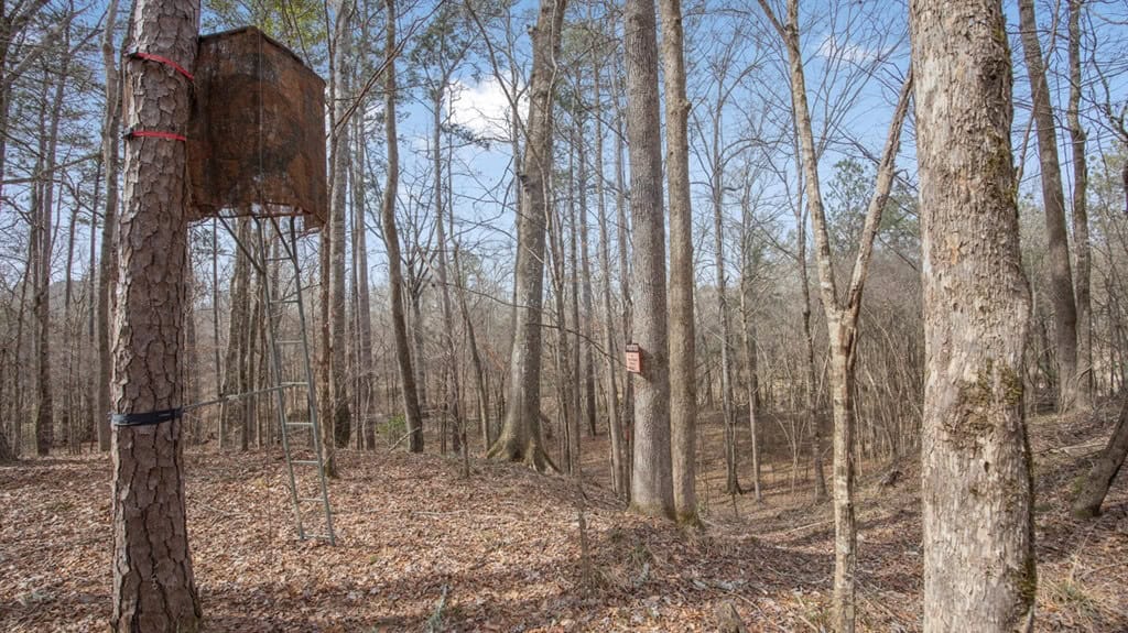 70 Acres Hunting Land Bordering Homochitto National Forest