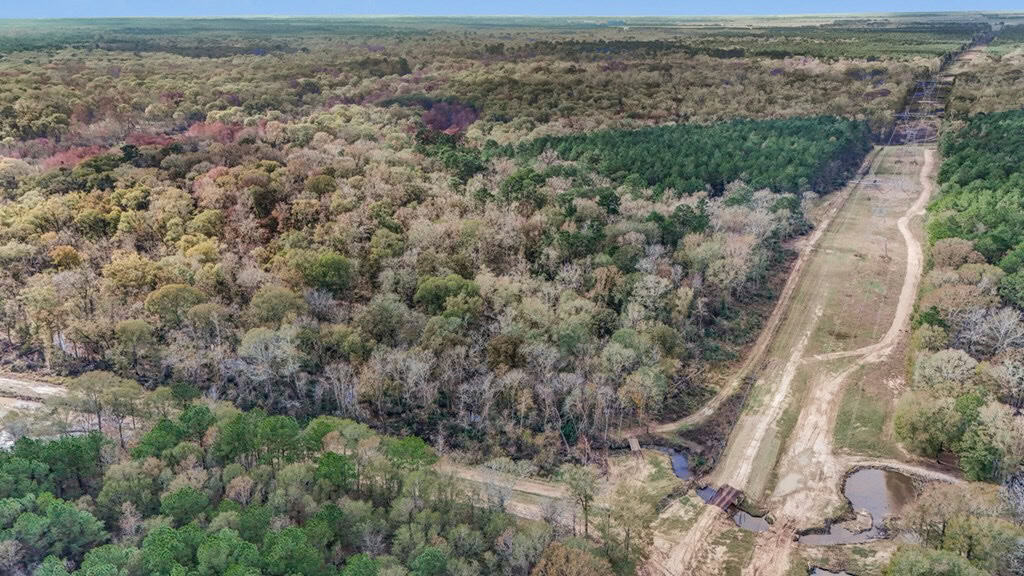 High Fence Hunting, 3 Lodges, 6 Cabins, Acadia Parish, LA