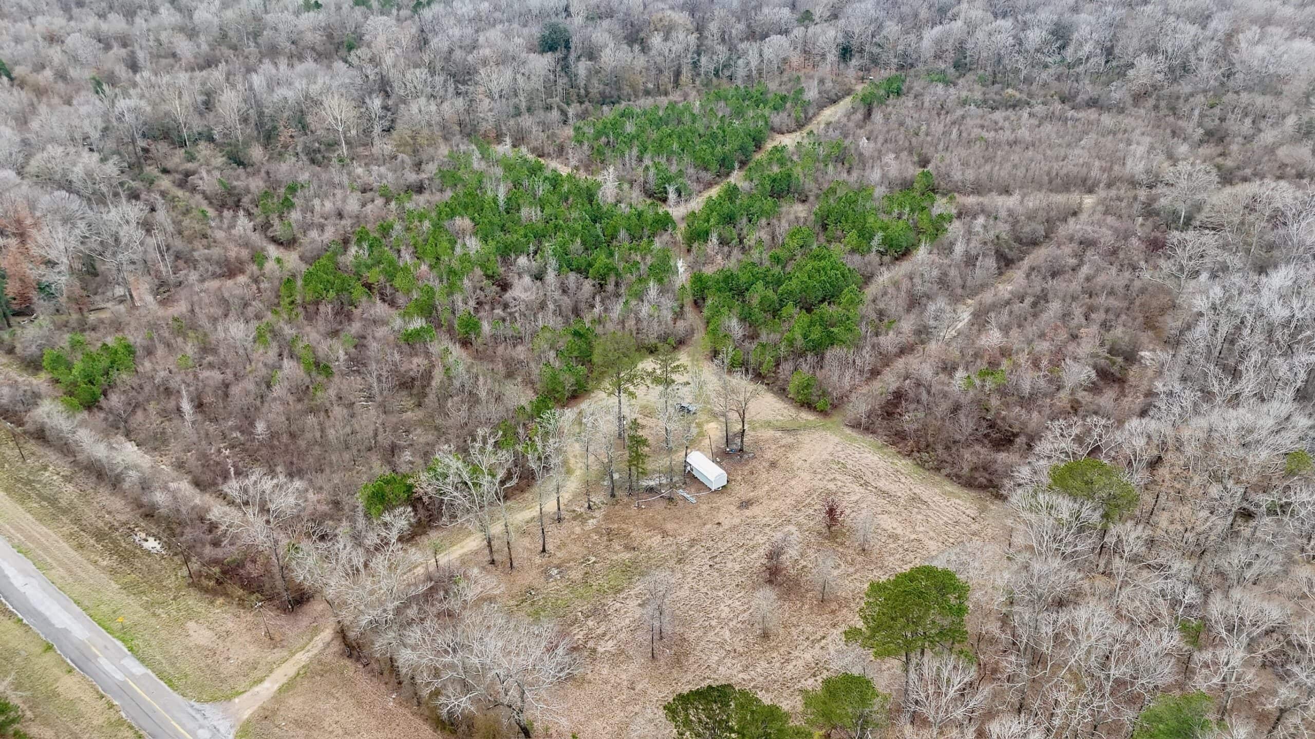 Hunting Property with a Camp and a Great Homesite
