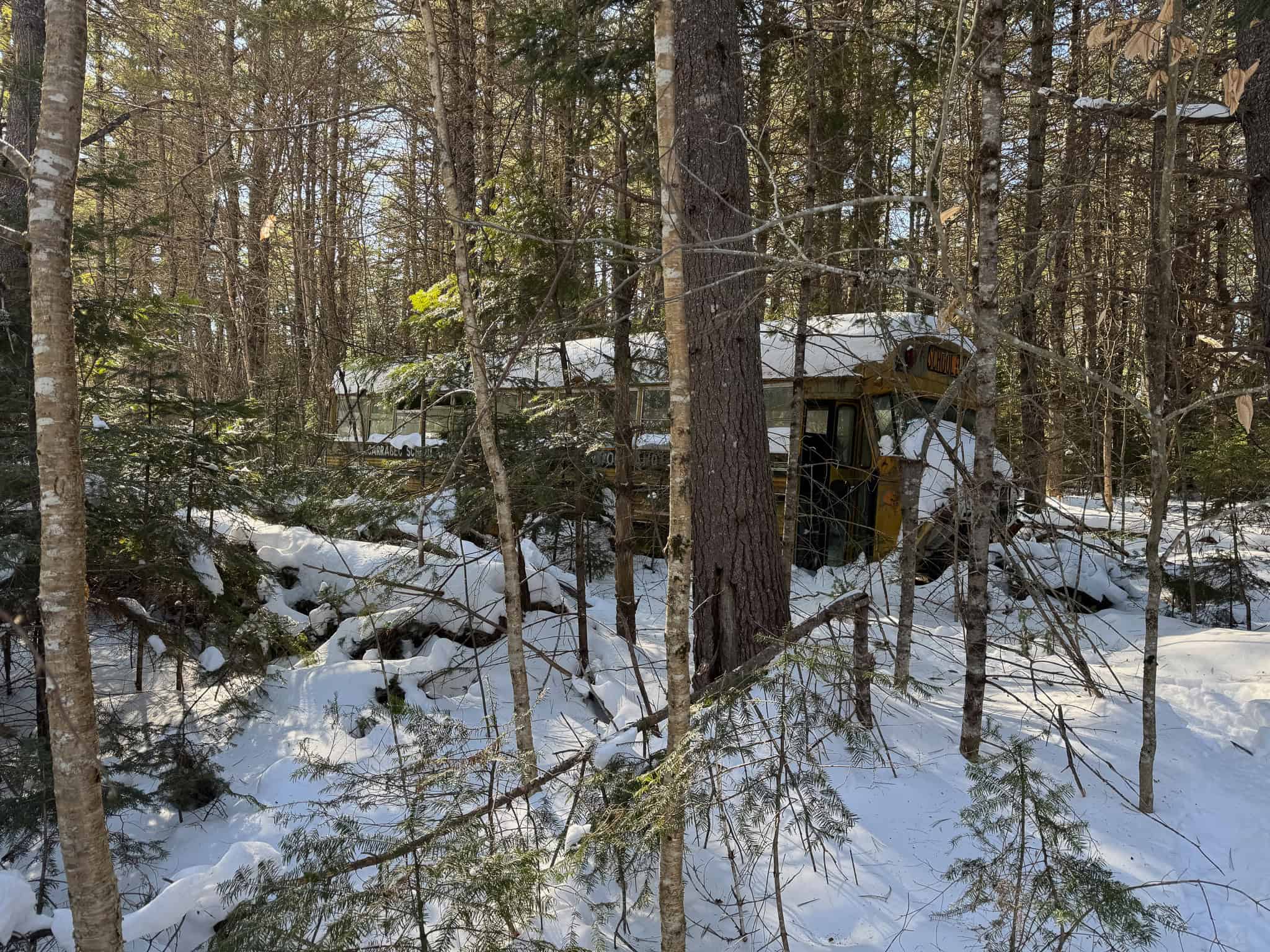 32 Acres with Off-Grid Cabin