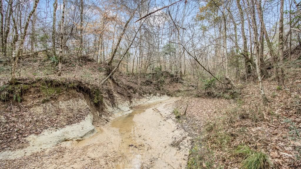 50 Acres TurnKey Hunting Camp SW Wilkinson County, MS
