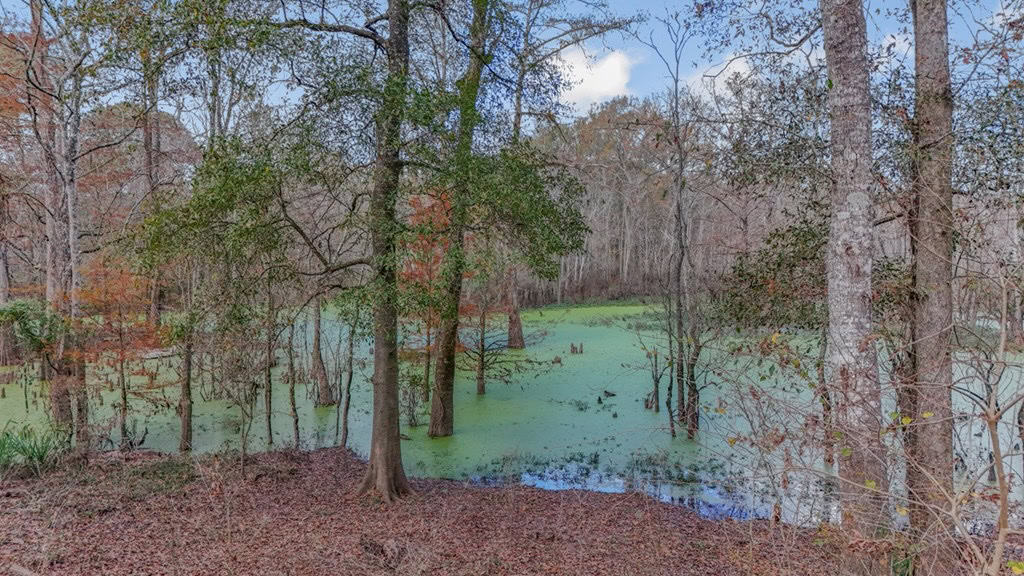High Fence Hunting, 3 Lodges, 6 Cabins, Acadia Parish, LA