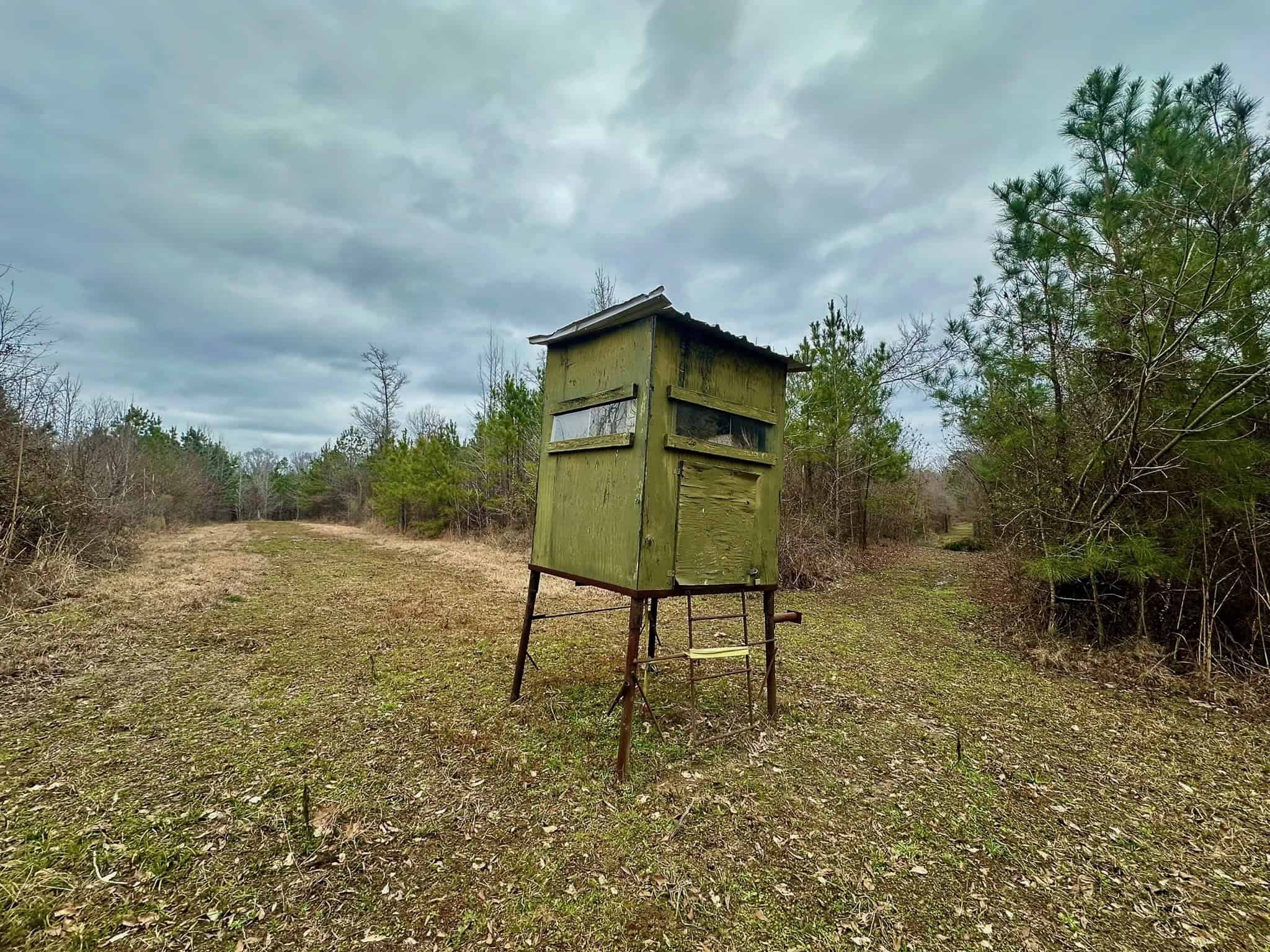 Hunting Property with a Camp and a Great Homesite