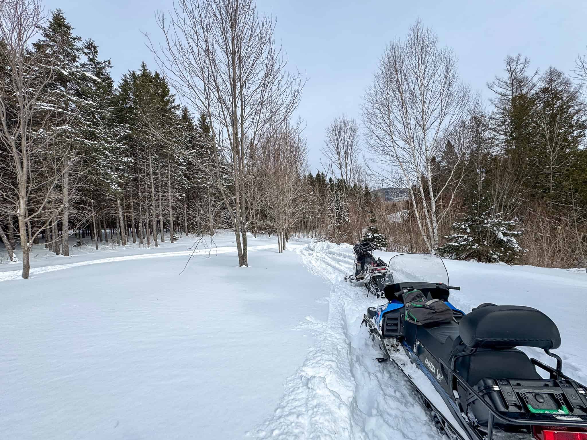 Log Cabin 40 Acres with Trout Stream