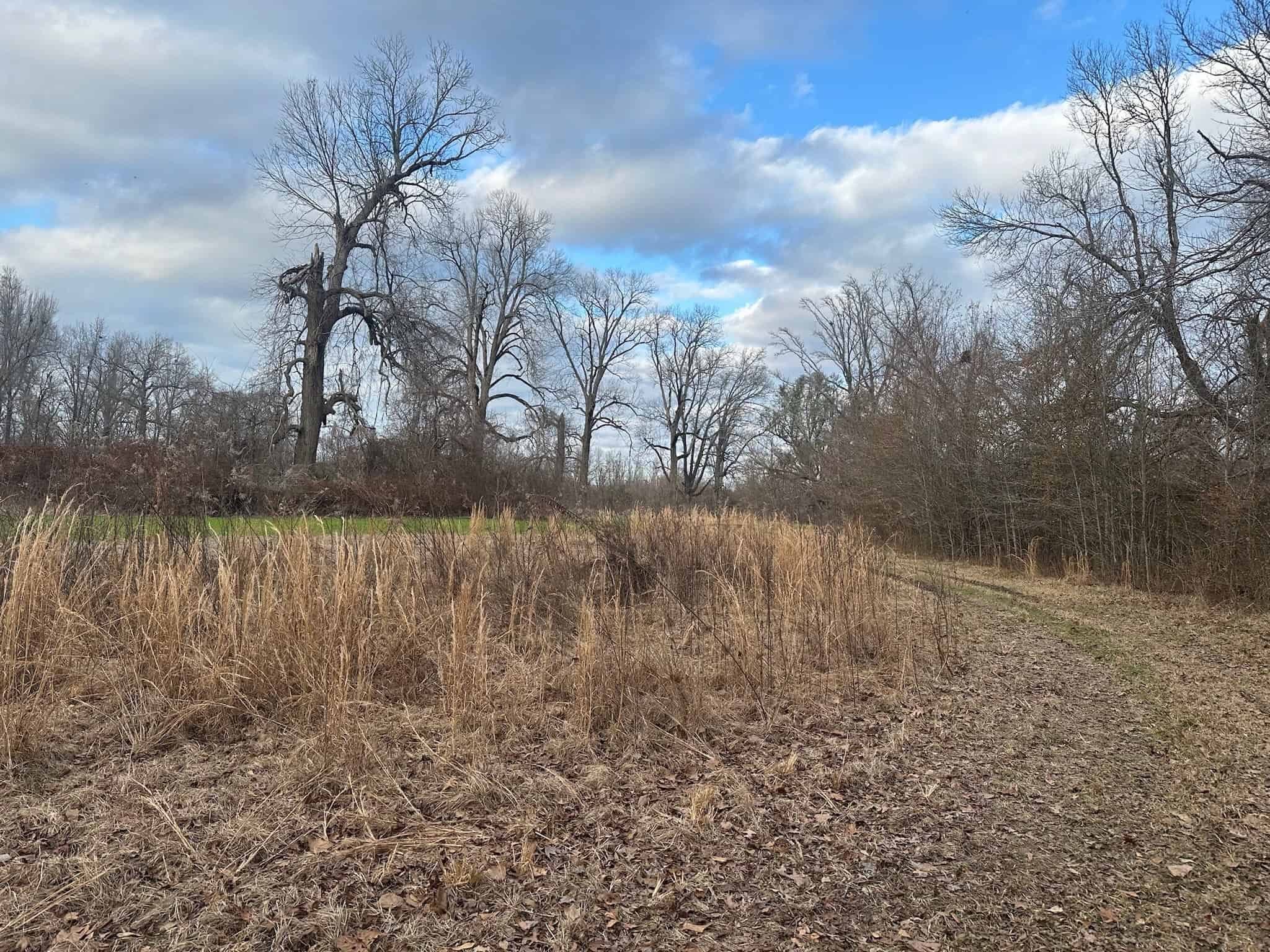 LA Delta Duck and Deer Hunting Property with a Camp