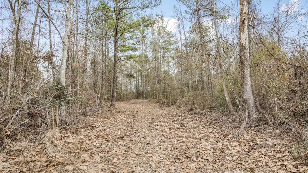 50 Acres TurnKey Hunting Camp SW Wilkinson County, MS