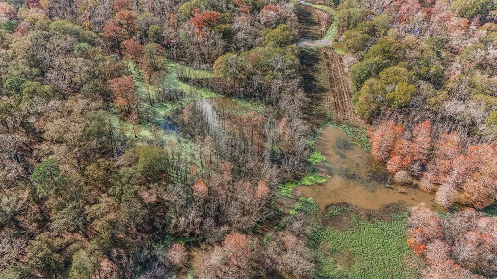 High Fence Hunting, 3 Lodges, 6 Cabins, Acadia Parish, LA