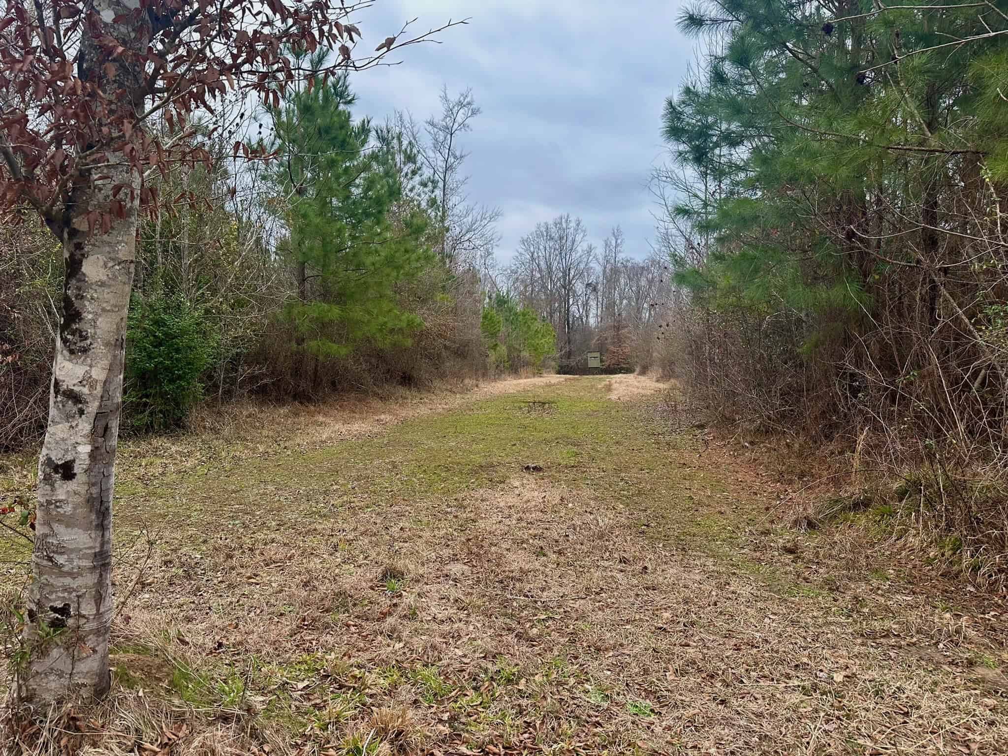Hunting Property with a Camp and a Great Homesite