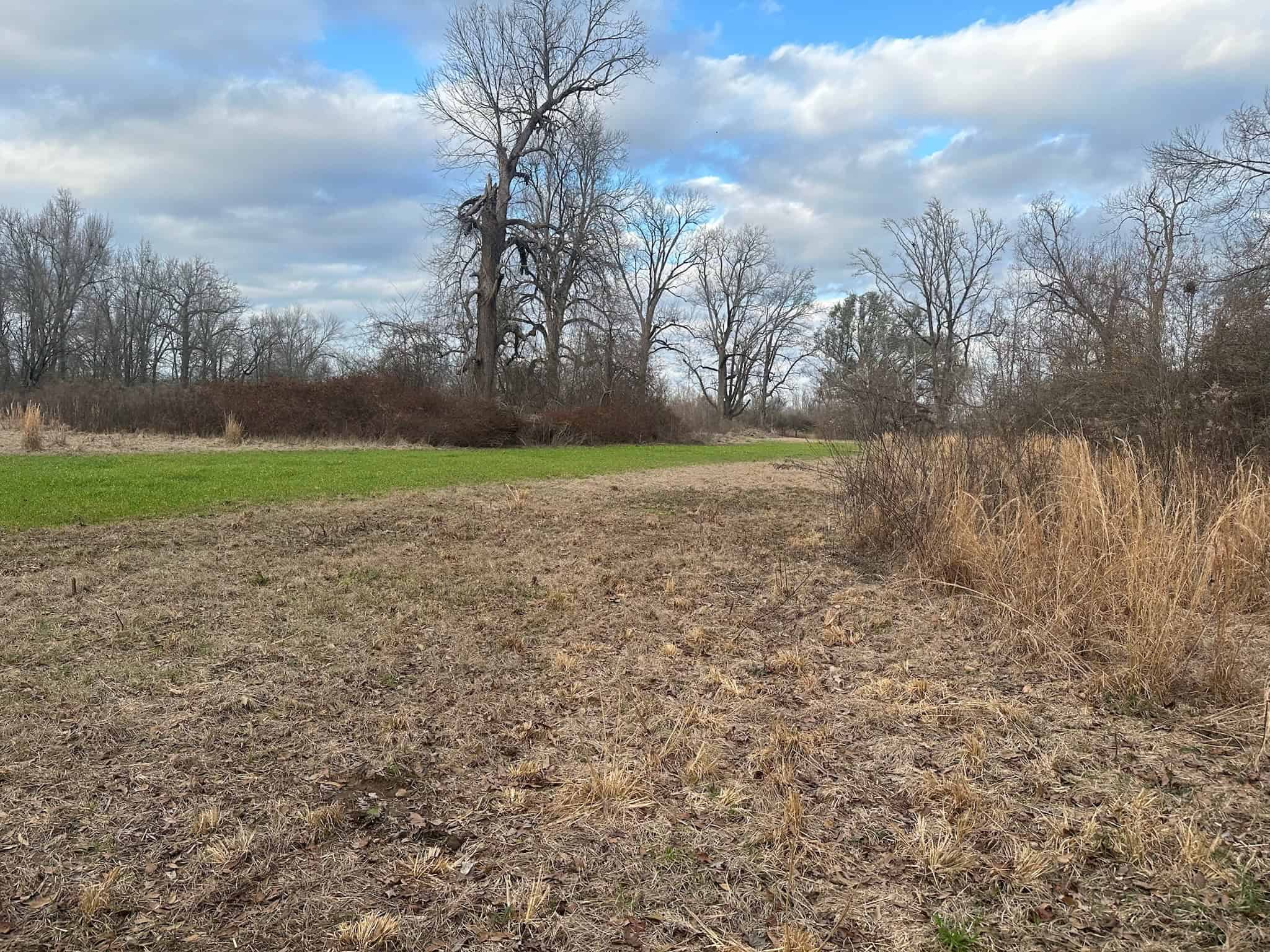 LA Delta Duck and Deer Hunting Property with a Camp