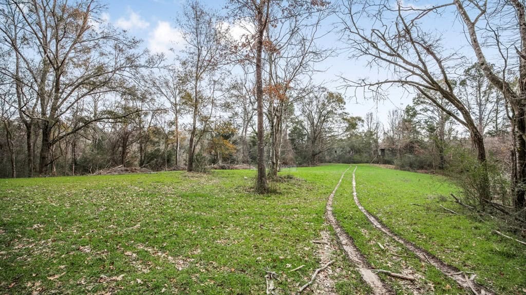 50 Acres TurnKey Hunting Camp SW Wilkinson County, MS