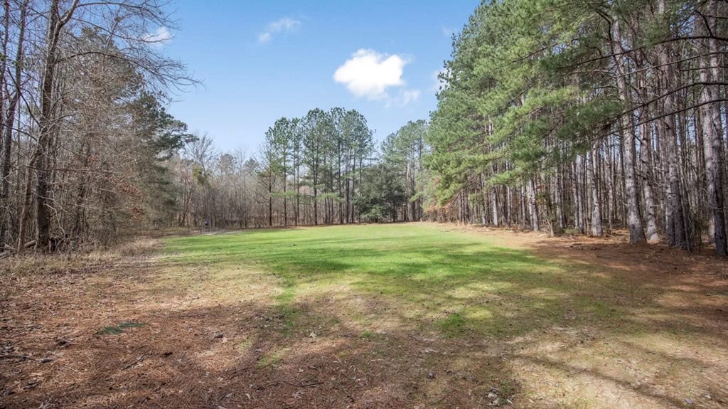 70 Acres Hunting Land Bordering Homochitto National Forest