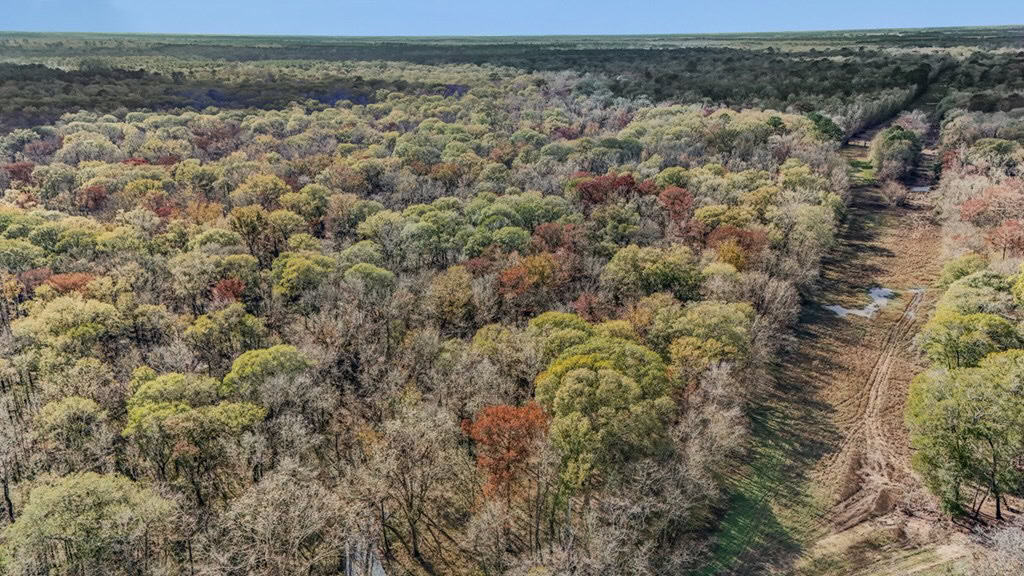 High Fence Hunting, 3 Lodges, 6 Cabins, Acadia Parish, LA