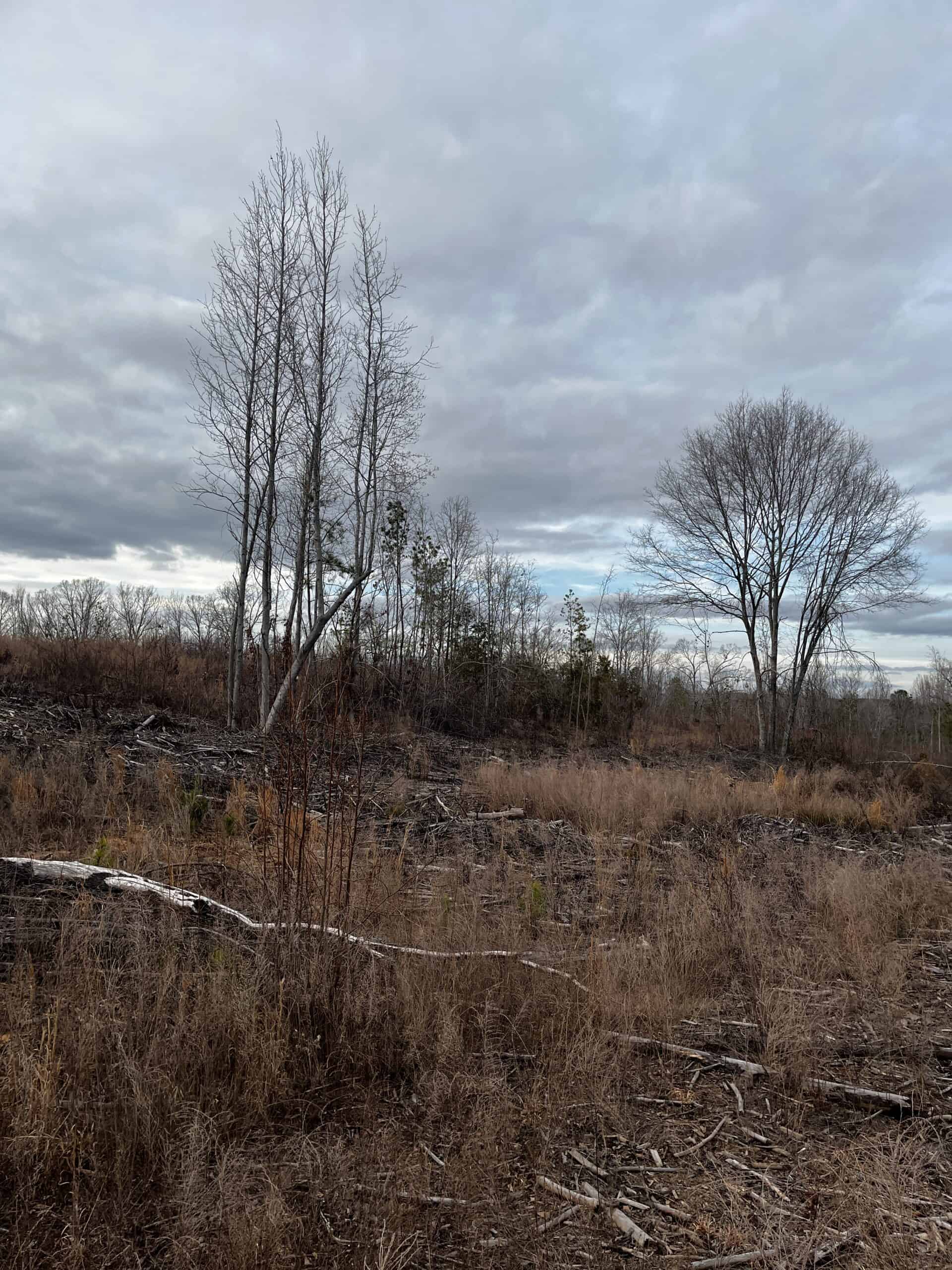 Hunting Land For Sale in Enoree, SC!