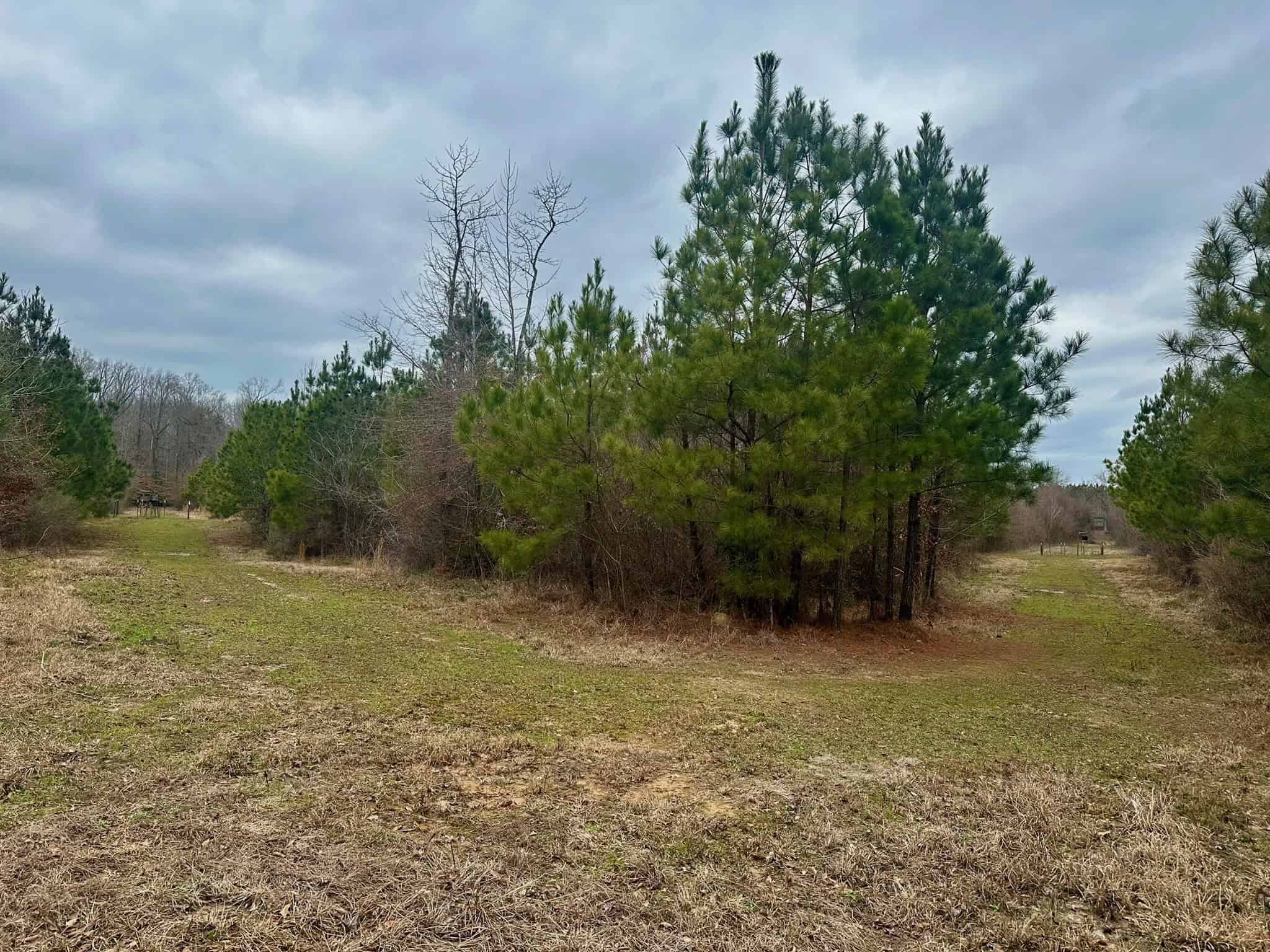 Hunting Property with a Camp and a Great Homesite