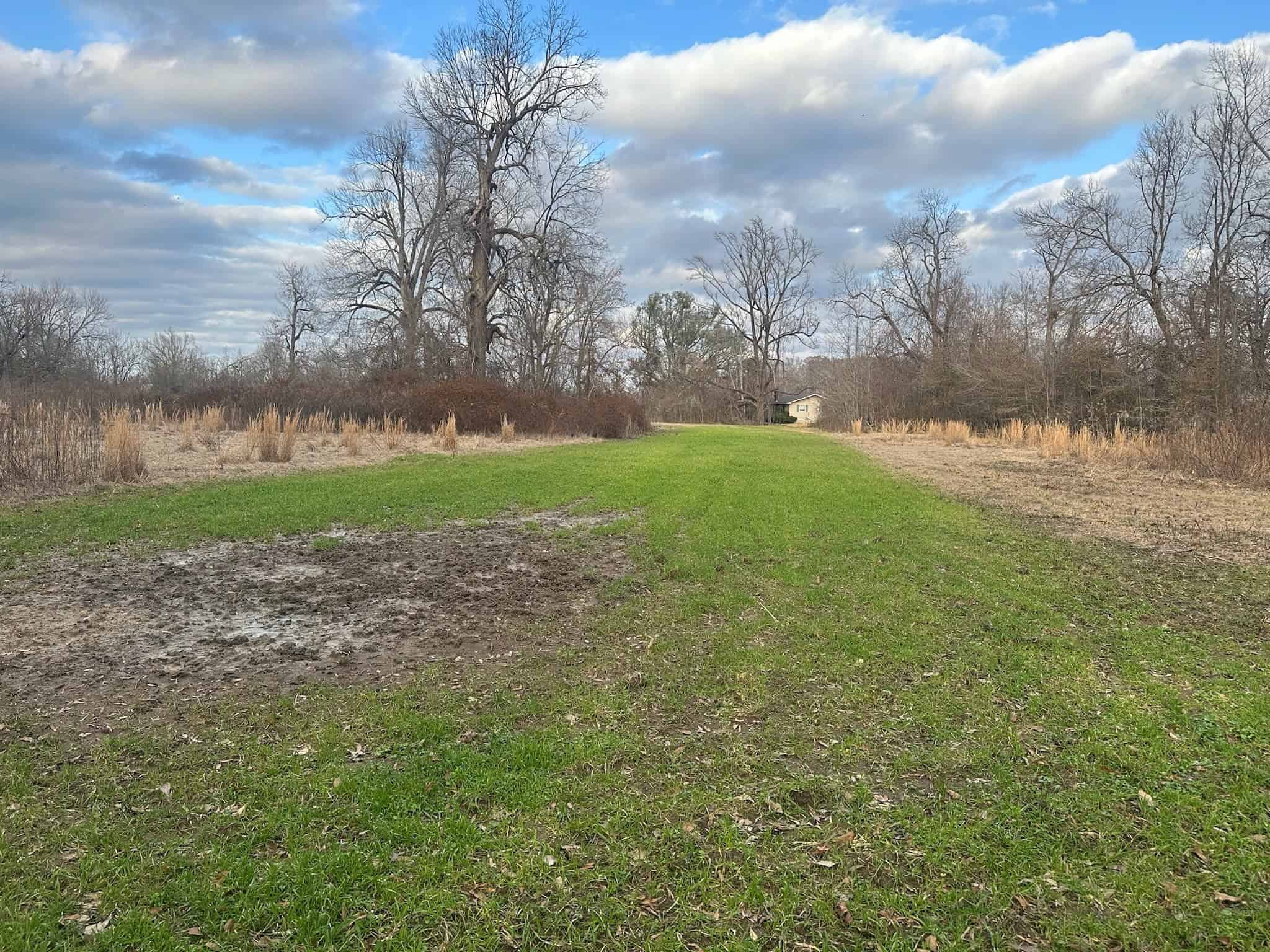 LA Delta Duck and Deer Hunting Property with a Camp