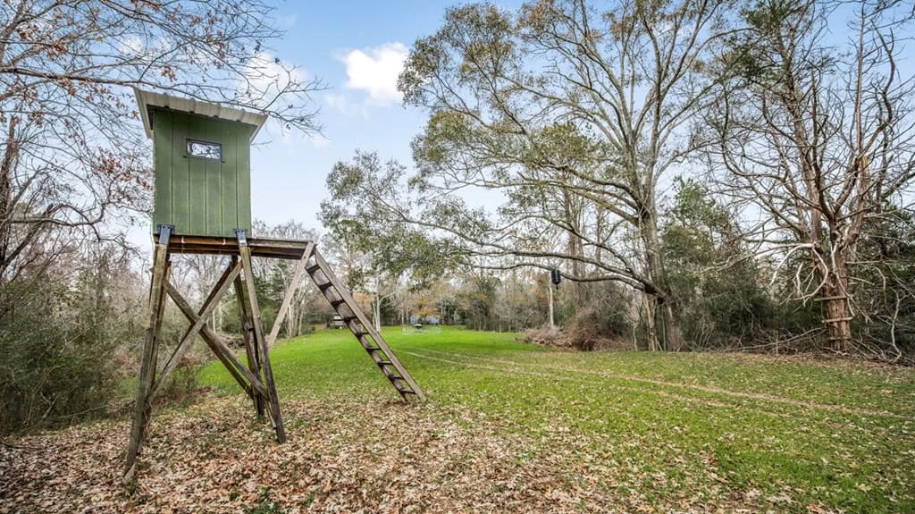50 Acres TurnKey Hunting Camp SW Wilkinson County, MS